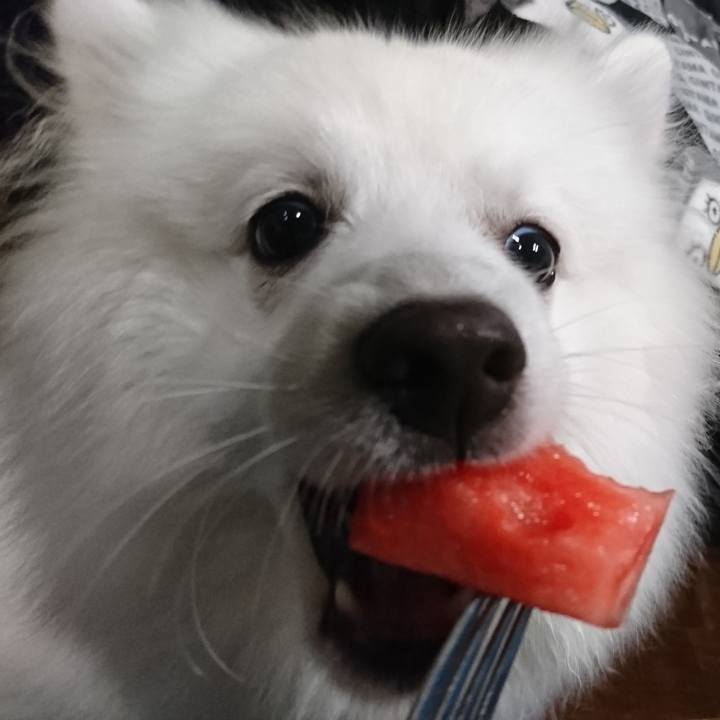 451c3957 b5bf 4265 8ef4 b678df31dcf2 1562163964372