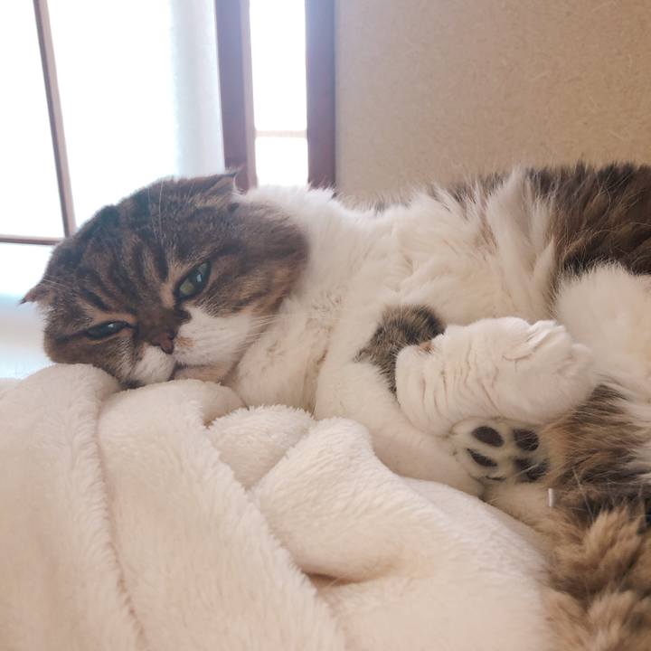 451c3dc9 036e 4389 9e00 854714ba6d7f 1588390801846