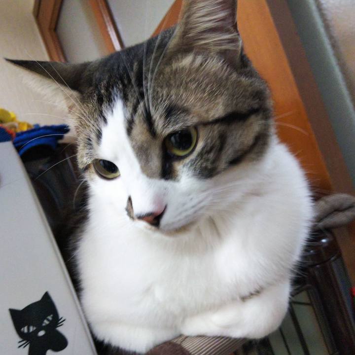 451c4415 3cfa 4250 b036 e68e08909966 1645884552682