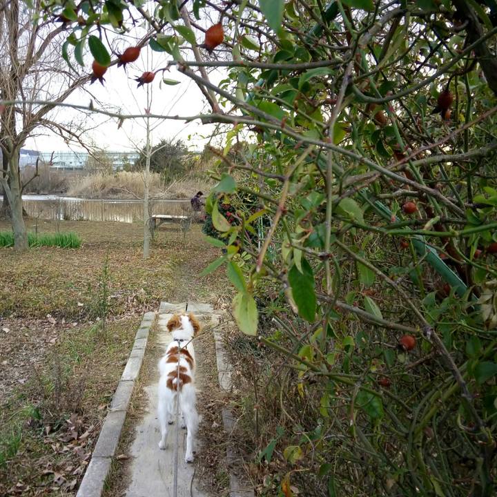 451c45f4 09b8 4a42 b3b4 ef50c070ccd7 1519000501930