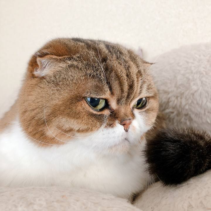 451c606c 3e32 4d49 a118 e761f8954e6c 1582256883629