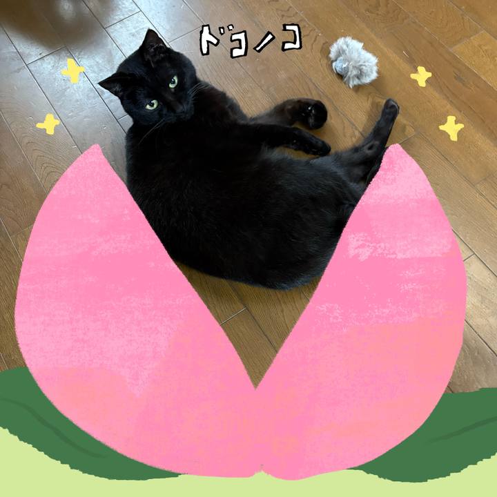 451c6ef0 f88e 4ce0 9a5e 310fd7729187 1771836369275