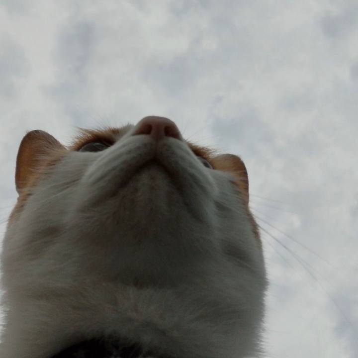 451c8d01 6db3 4ced 8f2e 19d39ba19b9b 1531312982052