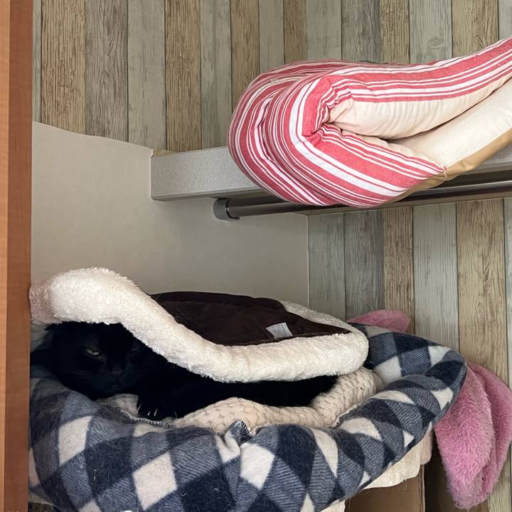 451cc8cf 472a 4cc9 9560 317165755102 1688792891855