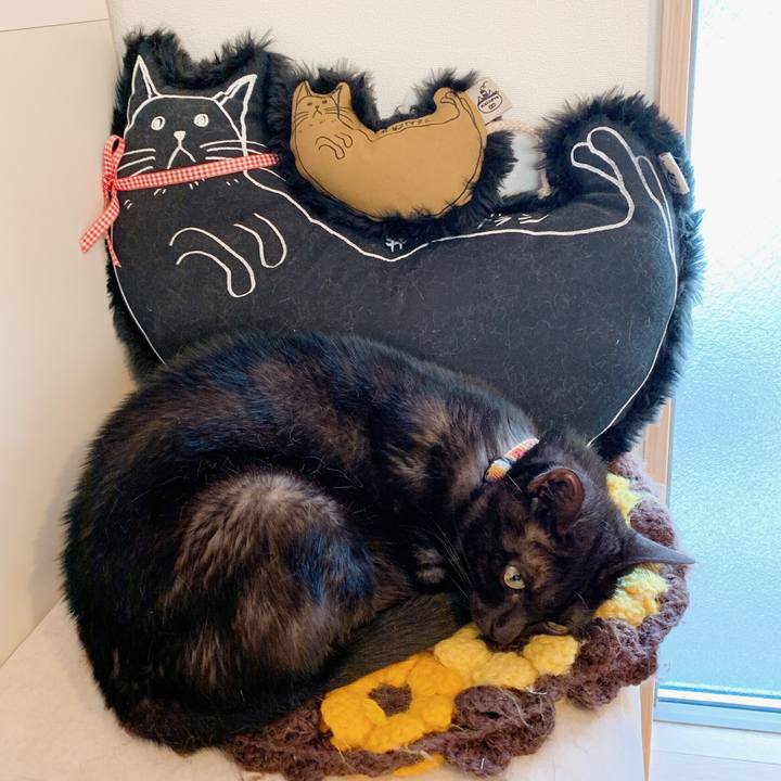 451d045a c5ac 42b3 8f73 f8e393834dbb 1572563947128