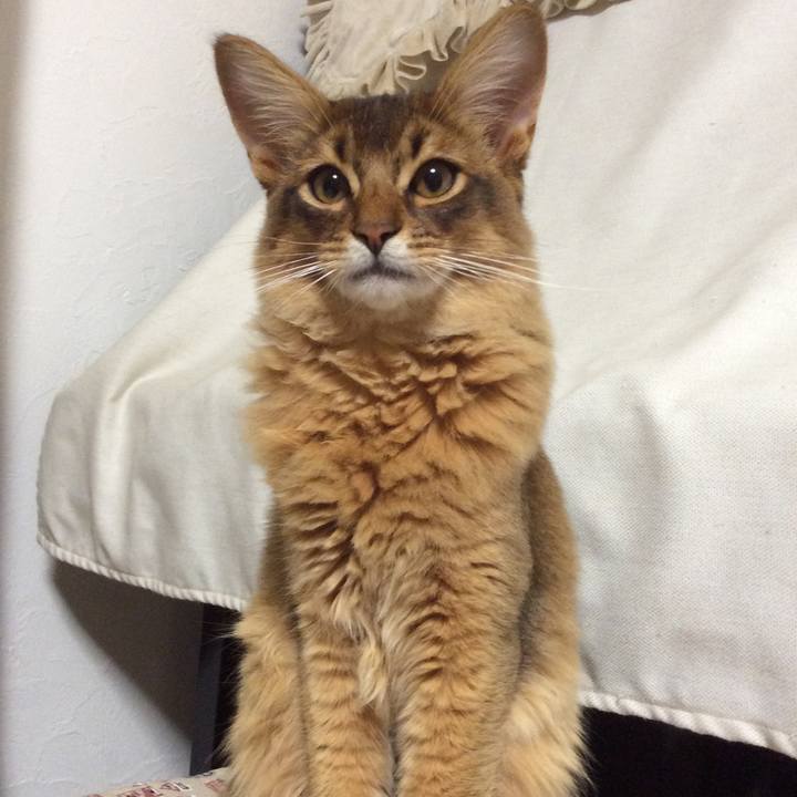 451d072a 5c5d 432b bb06 7f9edd8cdbc5 1577969775684