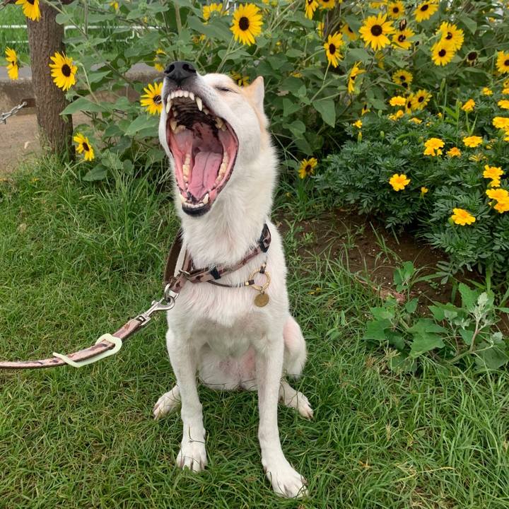 451d0f0d eadd 4ed0 91ce 5eea9a4bbb6a 1660194563017