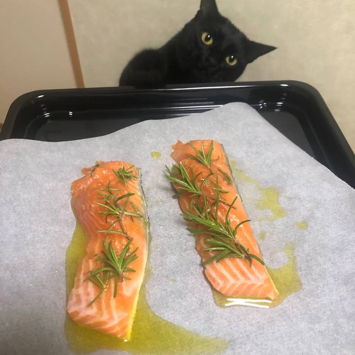 451d1cb0 d52a 491e b2fd 01a98692d88f 1590918796373