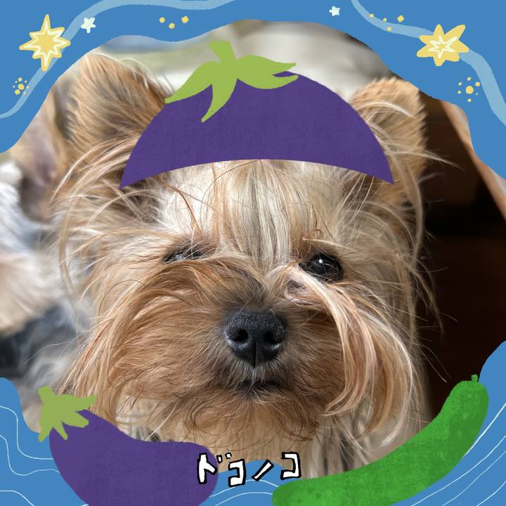 451d229b 3be8 4109 96eb 5331ce733d2b 1755214498033