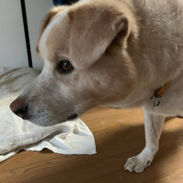 451d3b52 3669 42dc a8da 6a27a94f6d79 1592520756489