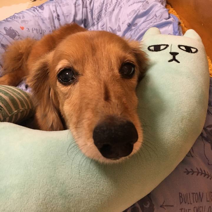 451d4124 4af9 48f6 94c3 8c2f40e264f4 1627473325309