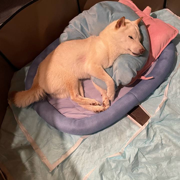 451d7c4e f2a7 4ece a092 ea0816e746a1 1656596815968