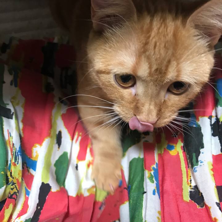 451d9933 ec46 4abc ba93 97381168ef82 1512025017770