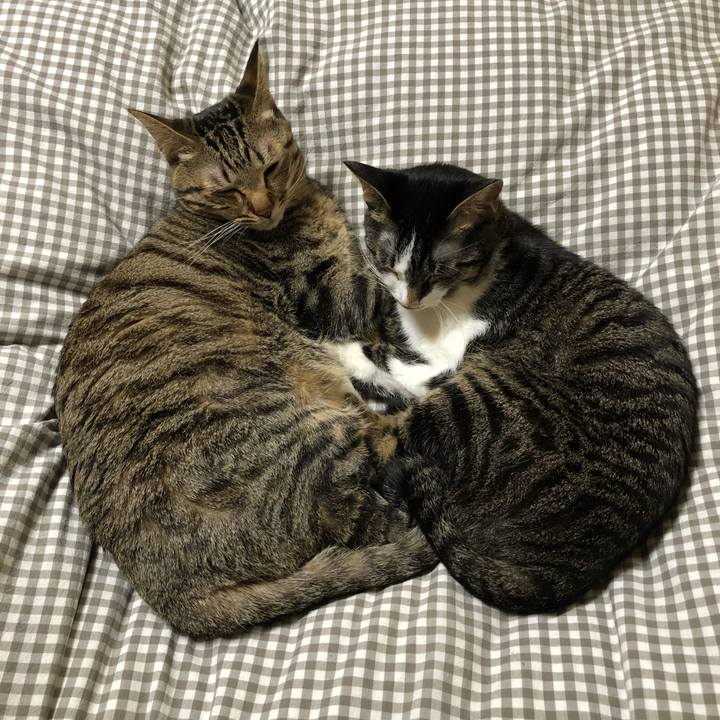 451da84a a476 47e5 bb37 5eafde35e5a8 1514893500427