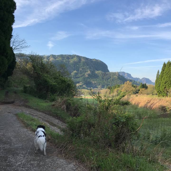 451db4c0 e85b 4617 af93 1e2eb728479f 1524359784619