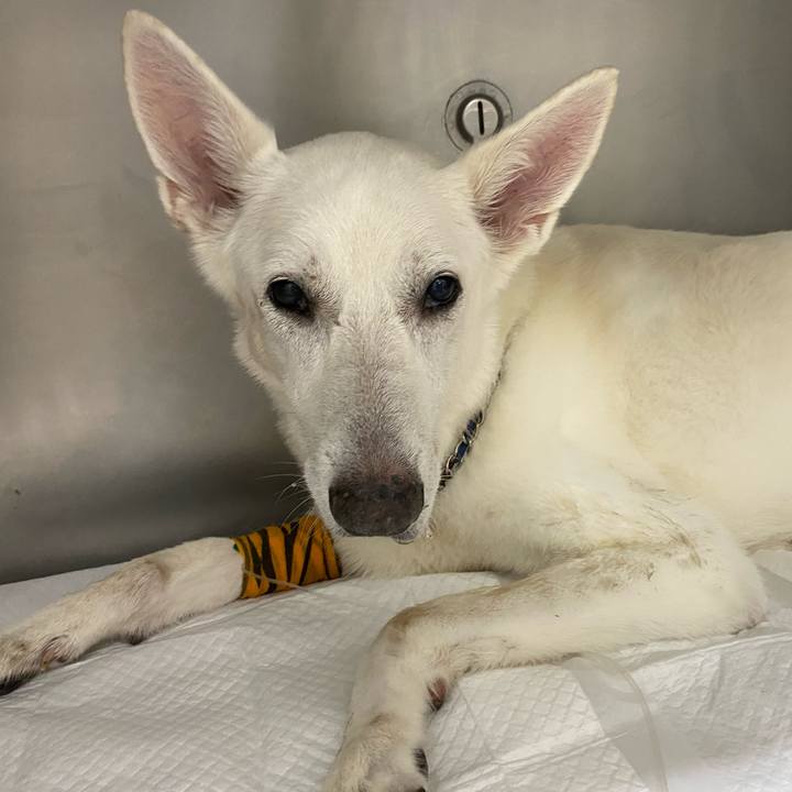 451db6b3 3609 4787 84c4 7d9dbadb13b3 1602604612636