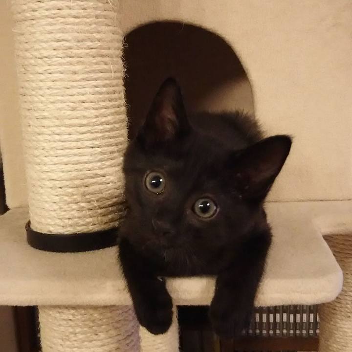 451dea33 a74a 4f2a a64b c6a66a4f9d1e 1624505712954