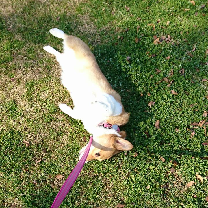 451df948 b5dd 4443 b207 f5b12a332261 1545357037220