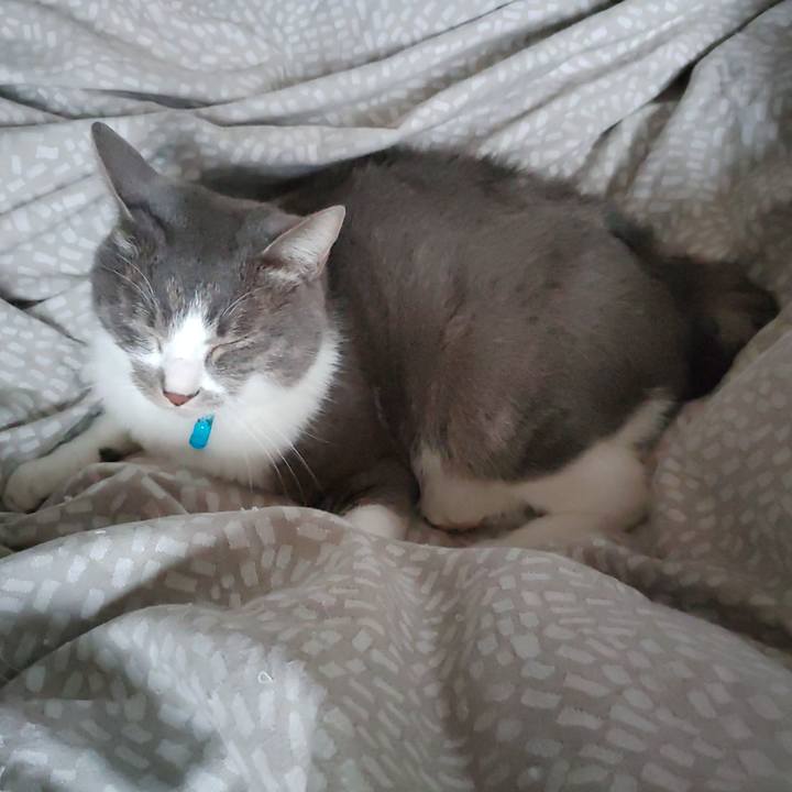 451e2e40 9f26 4bd4 bf47 7575776a4f8f 1705801997383