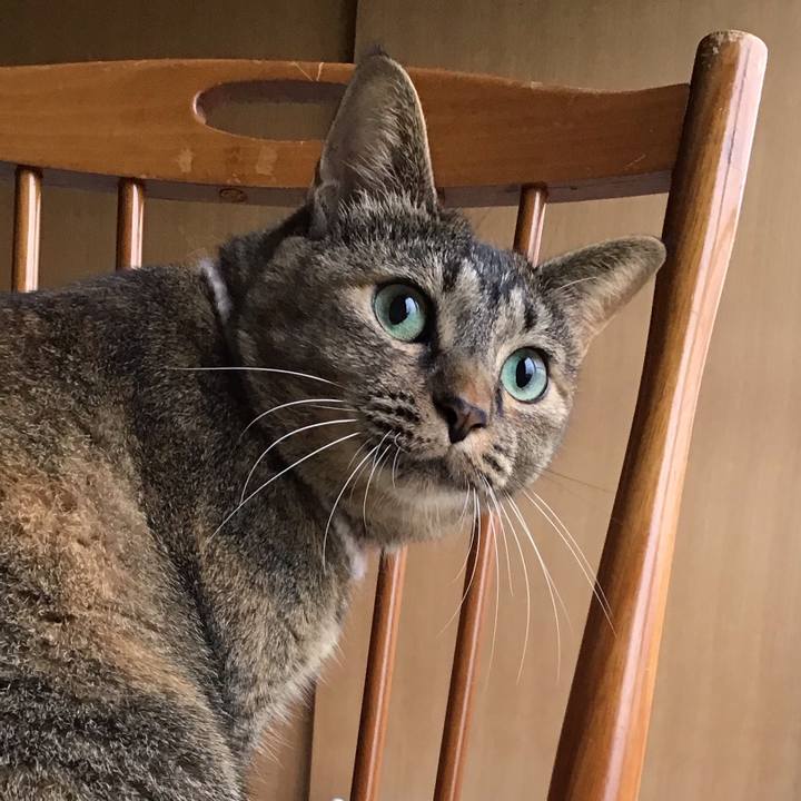 451e6a26 8a9d 47fd b3f4 991aef794f80 1662071272035