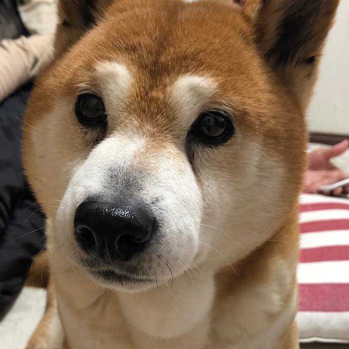 451e7a17 81bf 4911 922e 34c6fca41fe5 1558047074621