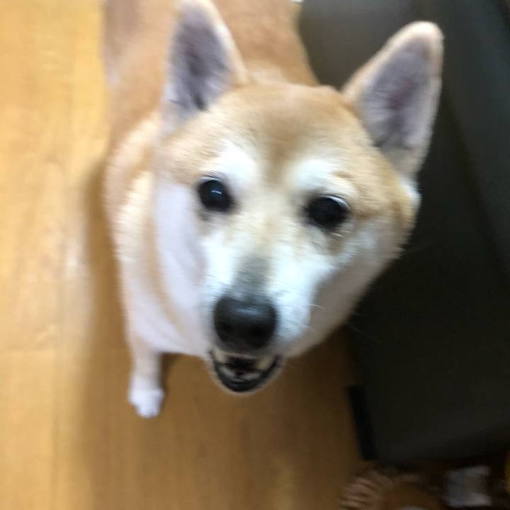 451ead88 6655 4cd8 be00 32111424eff6 1583416763646