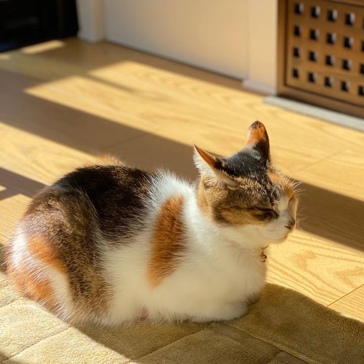 451ec1ca 0573 44a2 8536 348dcb80de7e 1666743349330