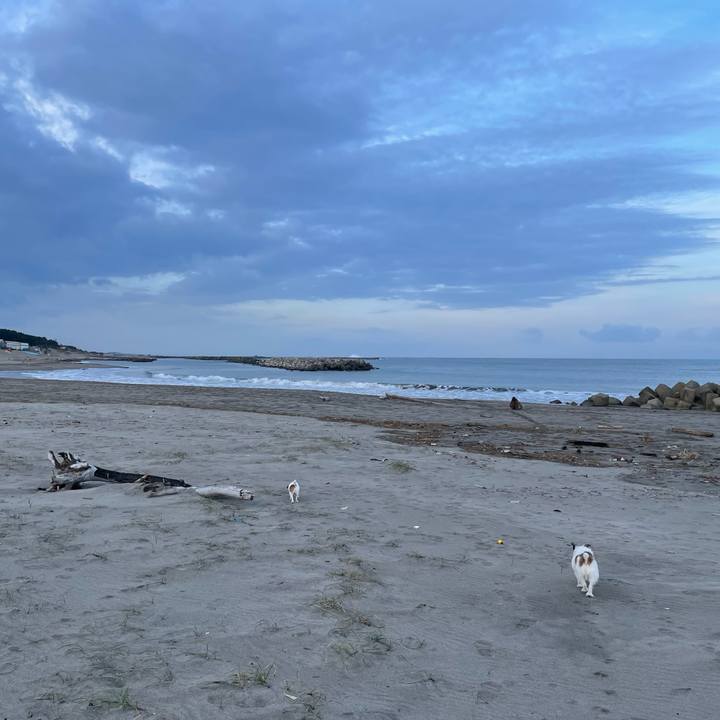 451edc52 3fe9 449e 8baa 8c73183c1851 1731366904519