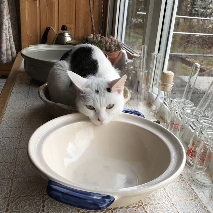 451f16f8 d340 47f0 9b7f 25e5d64878d9 1525417369563