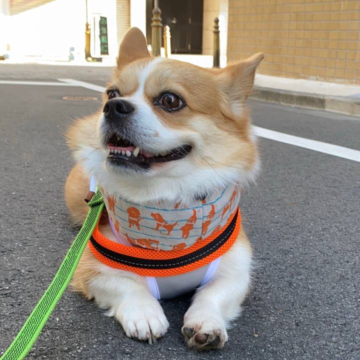 451f24f7 6618 42d4 b185 6c190fc89257 1688942324155