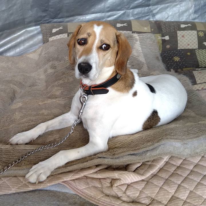 451f4e72 d867 4f15 ae49 f1caf55b6cfa 1645449347232