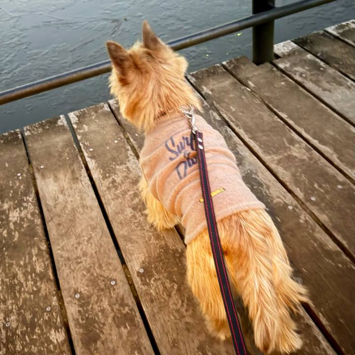 451f6e98 72f7 4821 82fc 84129ab7f0ff 1769162135994