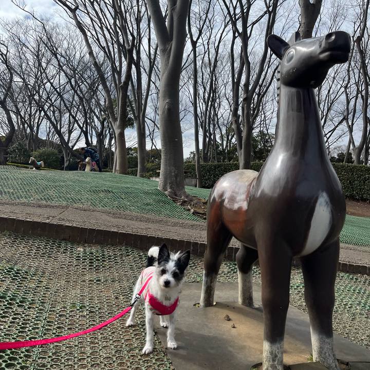 451f7228 238a 4fa8 a4ca b3416022c4cc 1708228689960