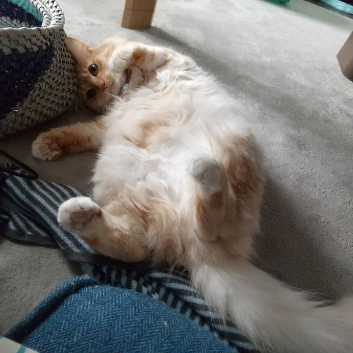 451f84b6 e5af 4a5f bece 07e82fbd73ed 1630976381874