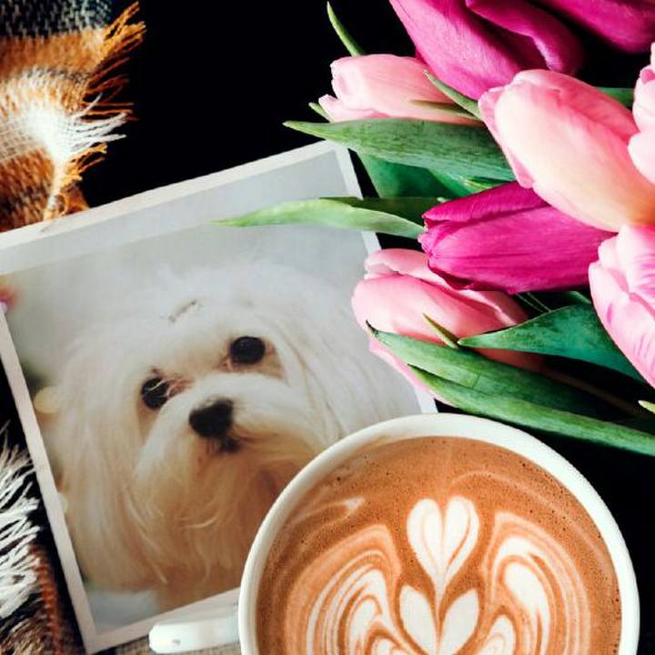 451fa20f 10c9 424c b040 dbdcb3ba1675 1526071767082