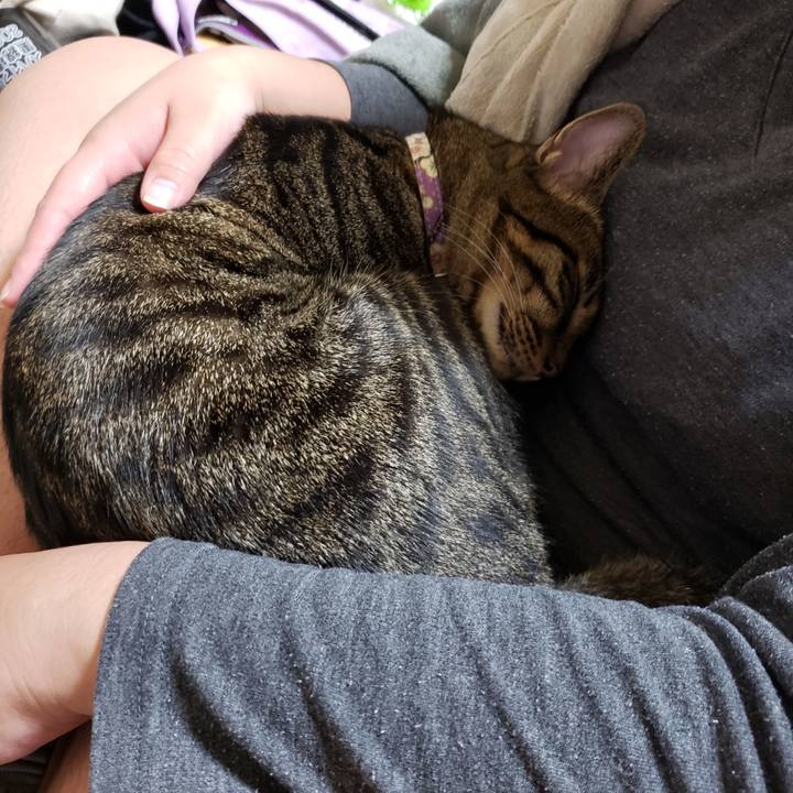 451faefd fe35 40b7 84f9 7209abb6d864 1572288840213