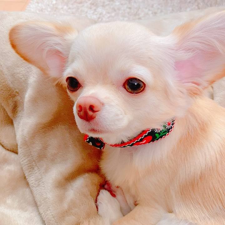 451fd2d5 f3fa 45b0 9377 101cc19f4df5 1629507902989