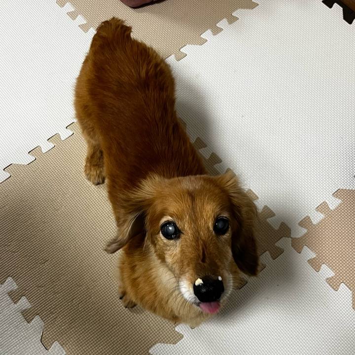 451fddc6 f445 438d b2fe 0383be55a979 1654775400303