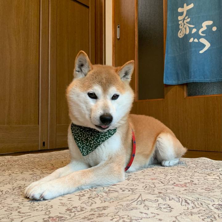 452016b0 2183 4ea8 b026 d59a86a85ab0 1649761423770