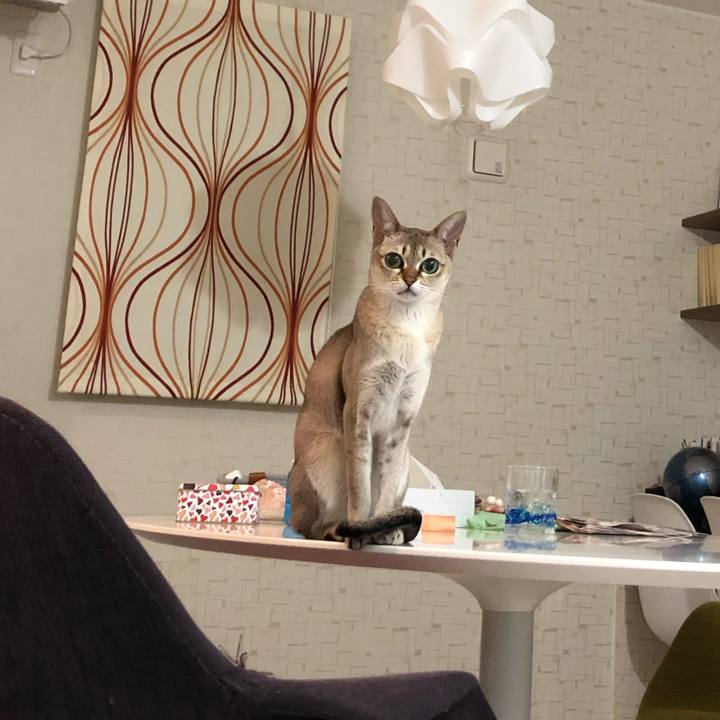 45204c31 3c15 4db4 aa8b 336a21d21648 1547827307388