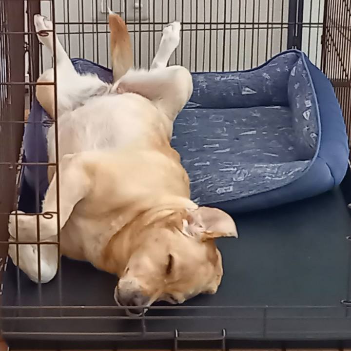 45205479 0736 4376 b7e9 e745415be44a 1600484189617