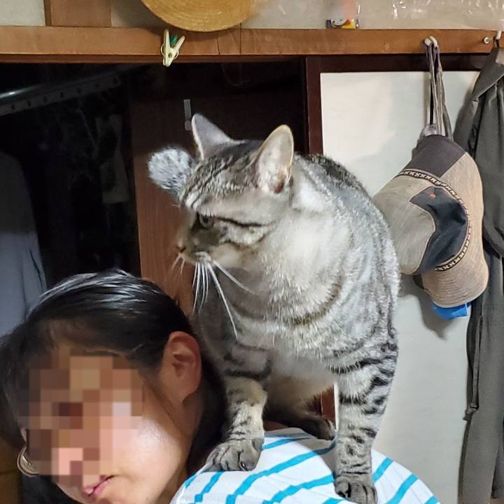 45205cc2 8acc 4506 a664 8190a67aff41 1697125708974