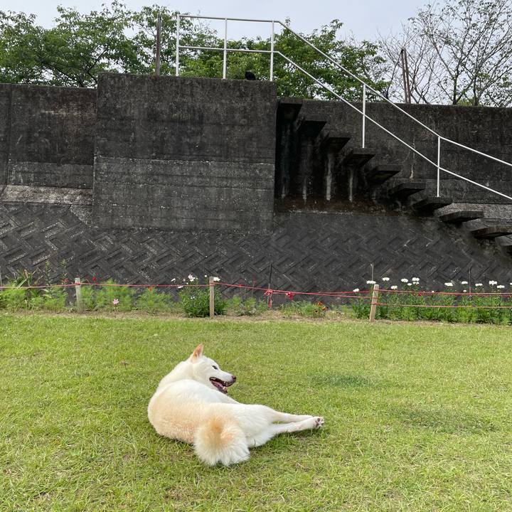 4520b9a9 e240 460e 8b95 006f735c4818 1653316207185