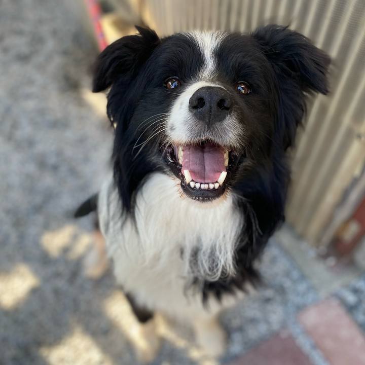 4520baba d8db 45aa a710 66aff62edc38 1694243260959