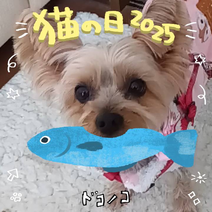 45210a35 b59c 4602 a357 24f9f6a5c241 1740287761054