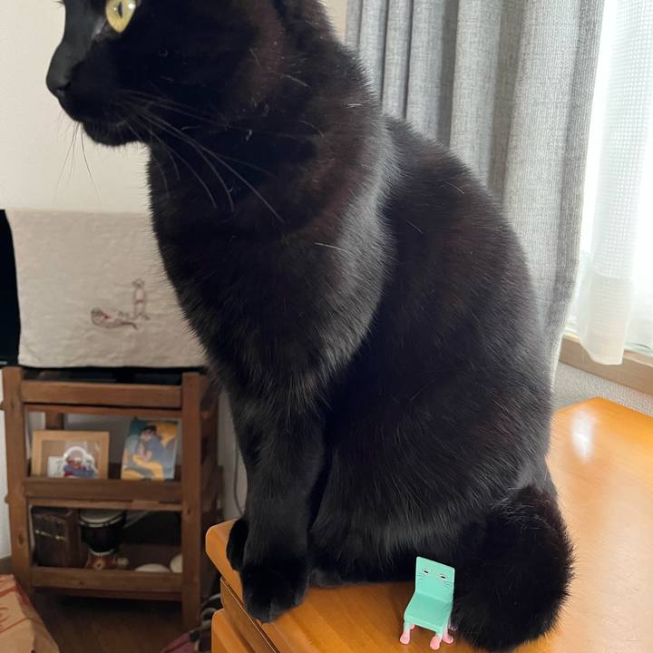 452118c1 e961 4f4f 9ff0 e1ce8543c404 1679966135443