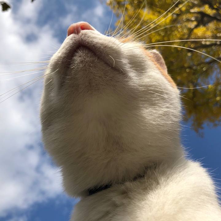 452152d8 ff45 42f5 8232 ac5b958725aa 1541647634139