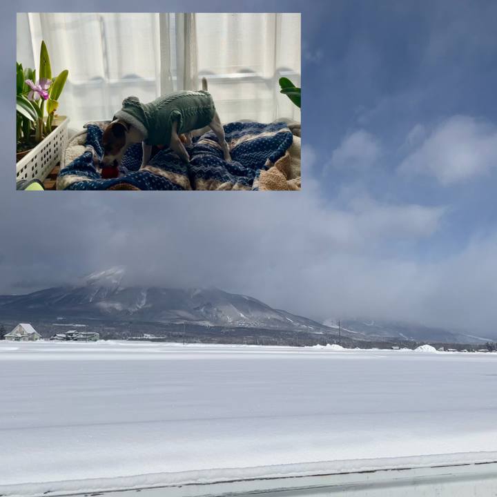 45216937 6439 4f8b 9f08 cef99ef09f77 1740268587600