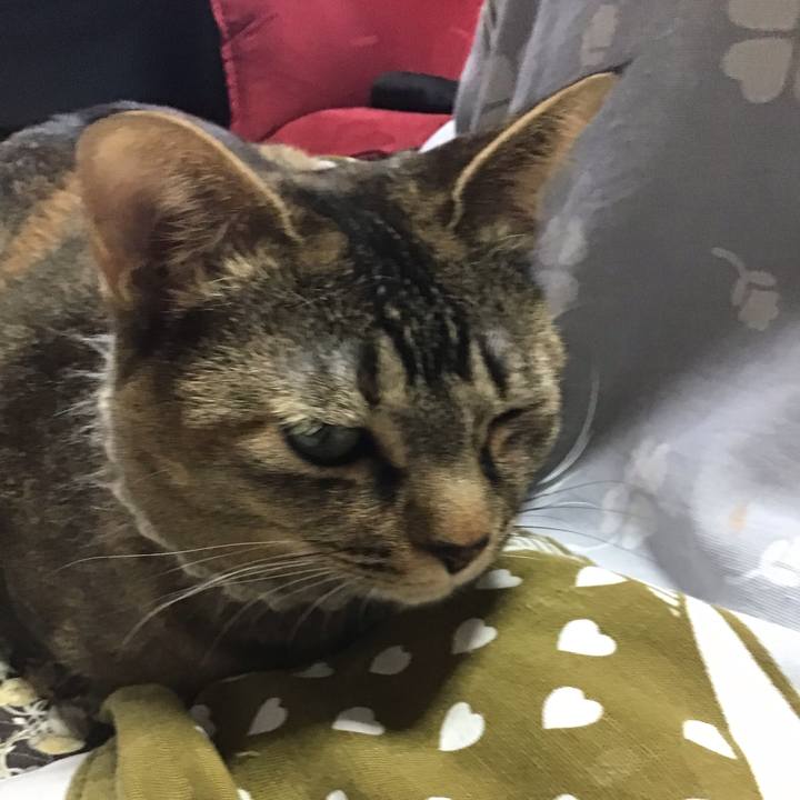 4521b19a 1238 40af ab22 1461079d1776 1649066716115