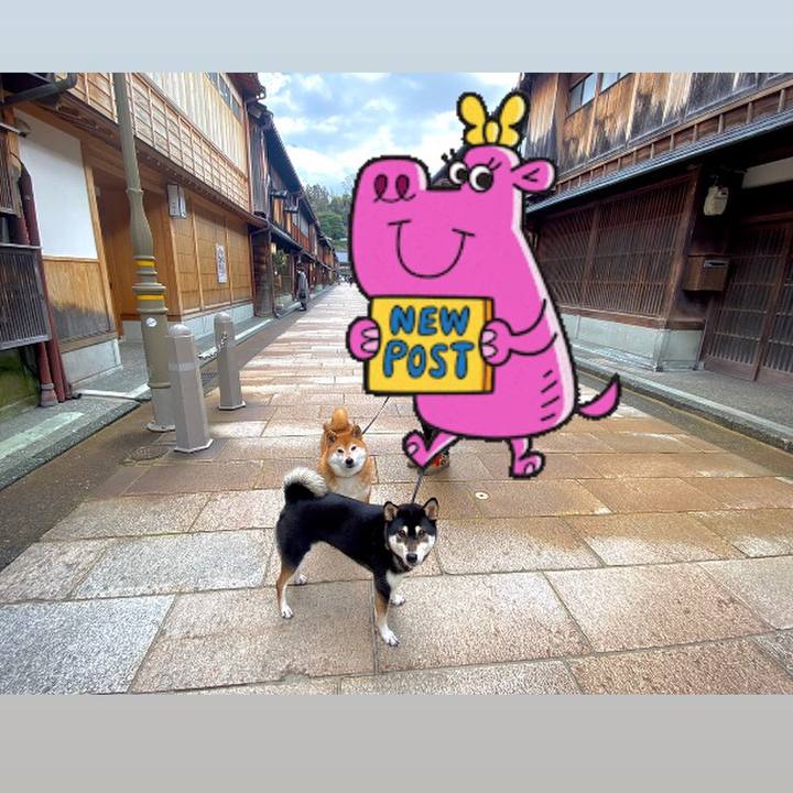 45220198 81e8 468a 936e 7f6f9700a94e 1612666287463